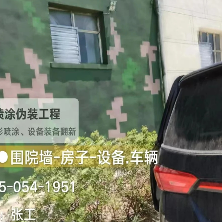 荆州数码迷彩漆施工